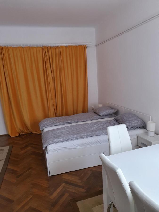 Apartament Enescu Тимишоара Экстерьер фото