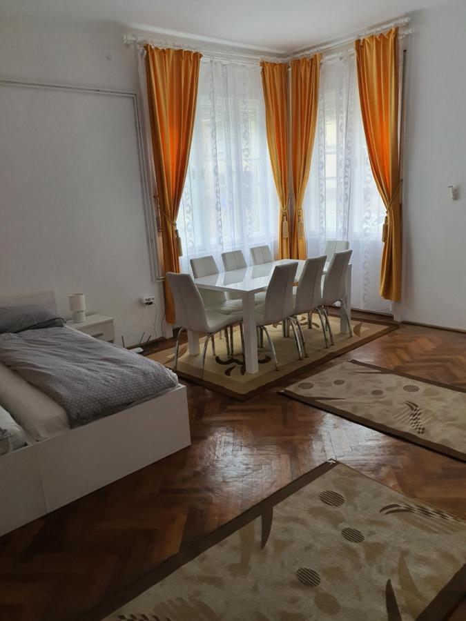 Apartament Enescu Тимишоара Экстерьер фото