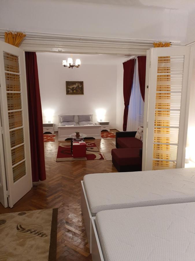 Apartament Enescu Тимишоара Экстерьер фото