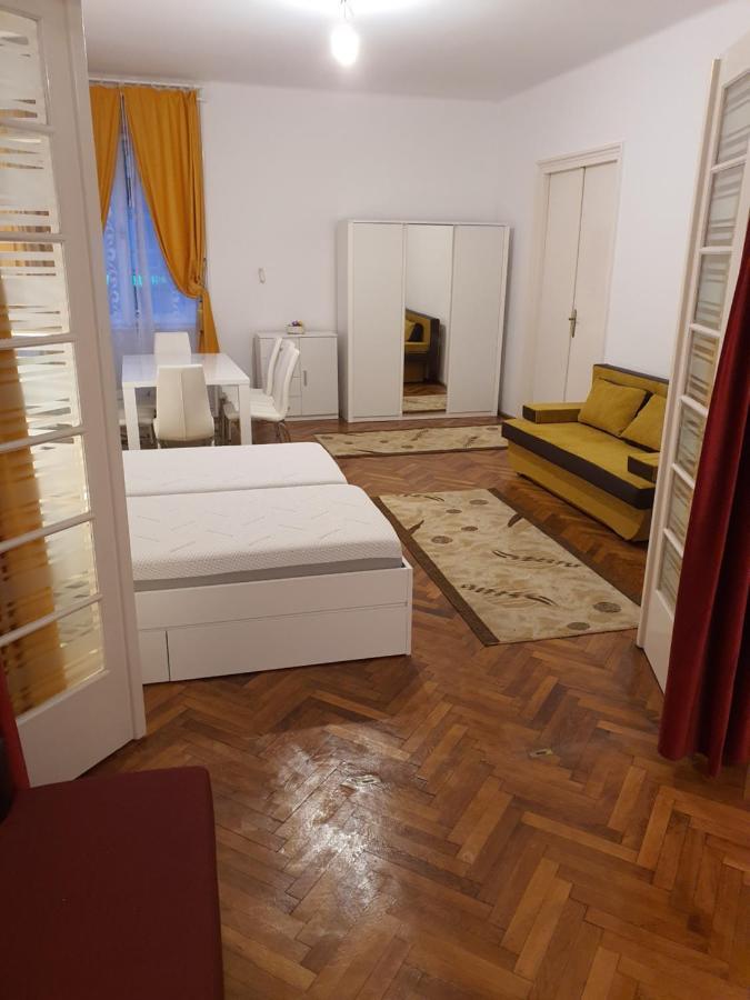 Apartament Enescu Тимишоара Экстерьер фото