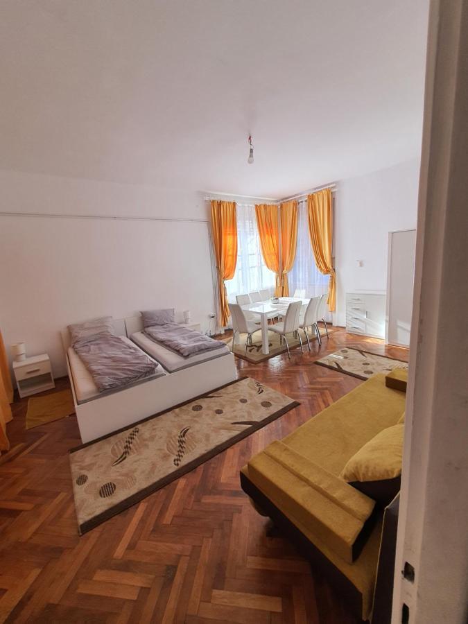 Apartament Enescu Тимишоара Экстерьер фото